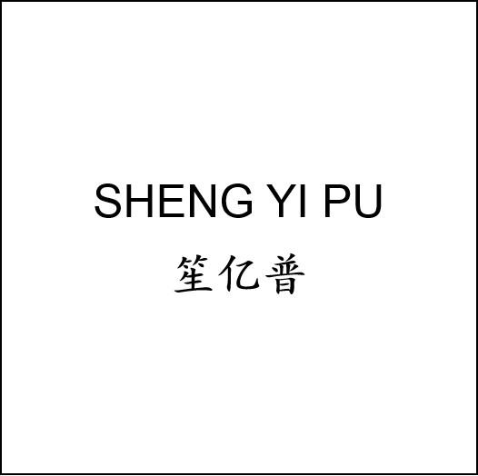笙亿普