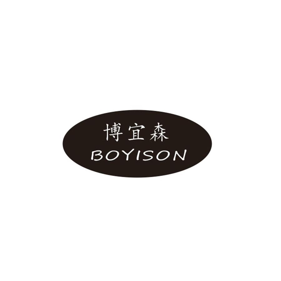博宜森
BOYISON