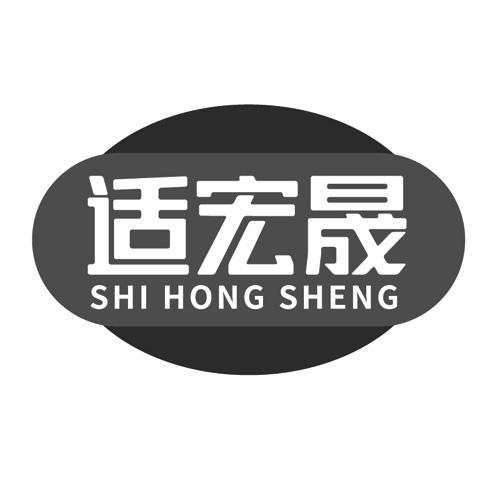 适宏晟