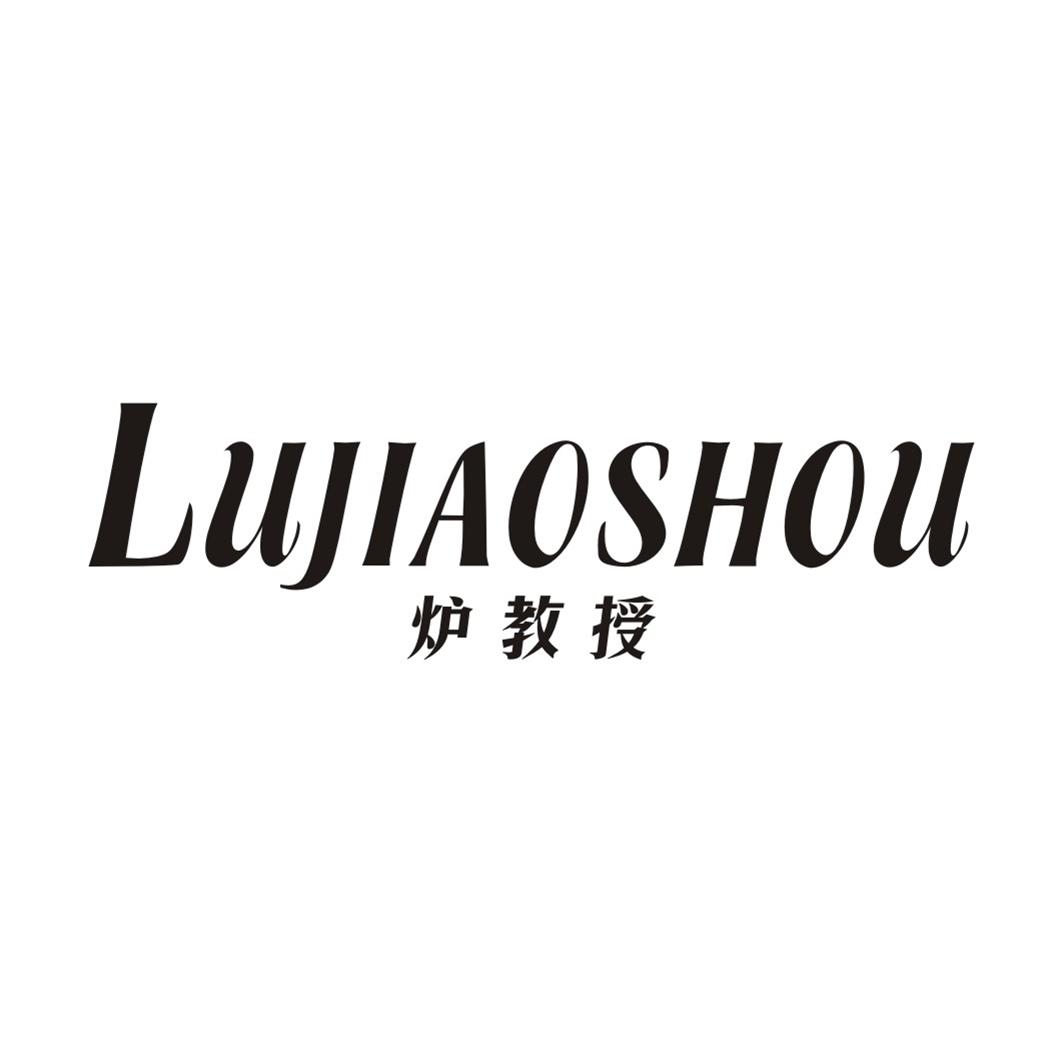 炉教授LUJIAOSHOU