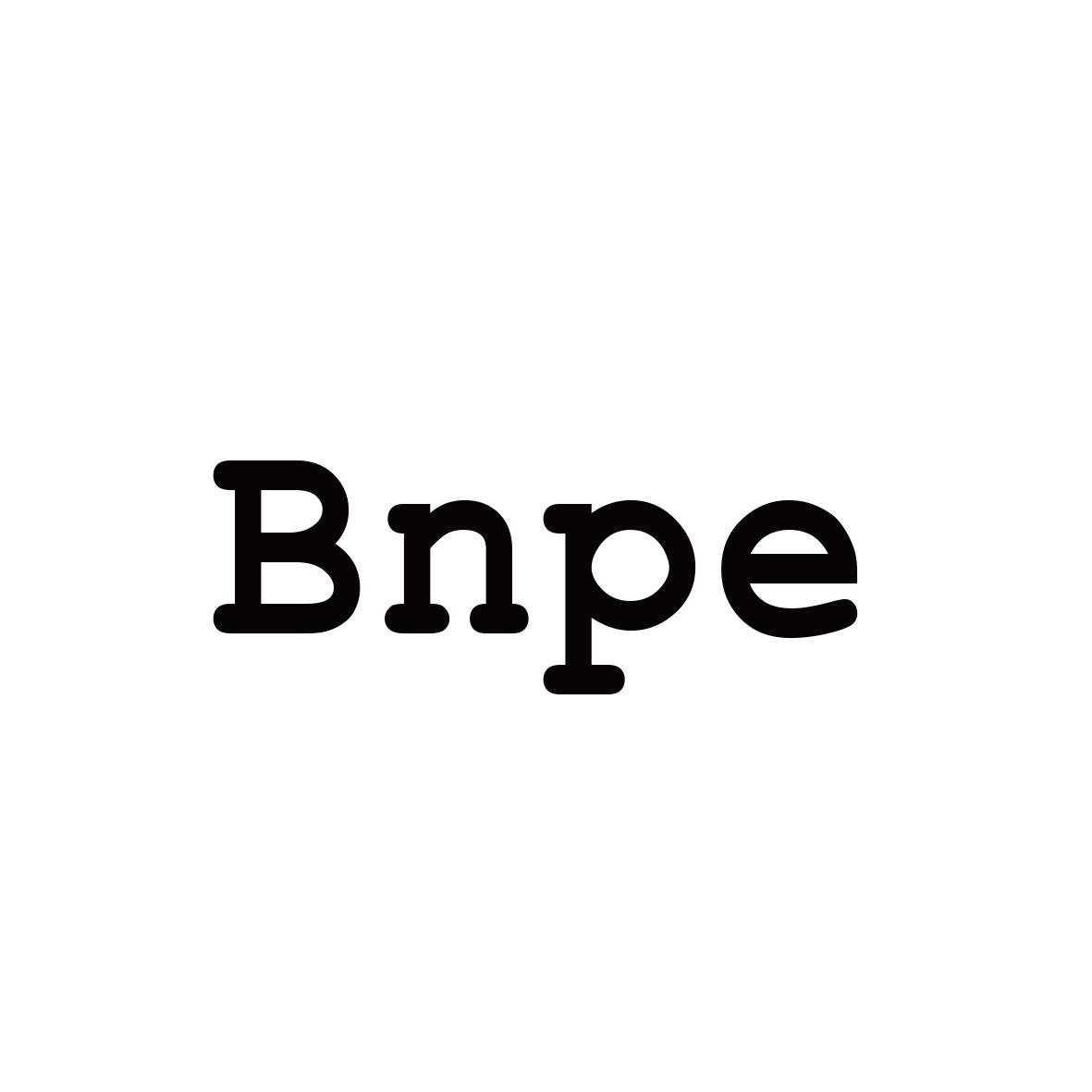 BNPE                           
