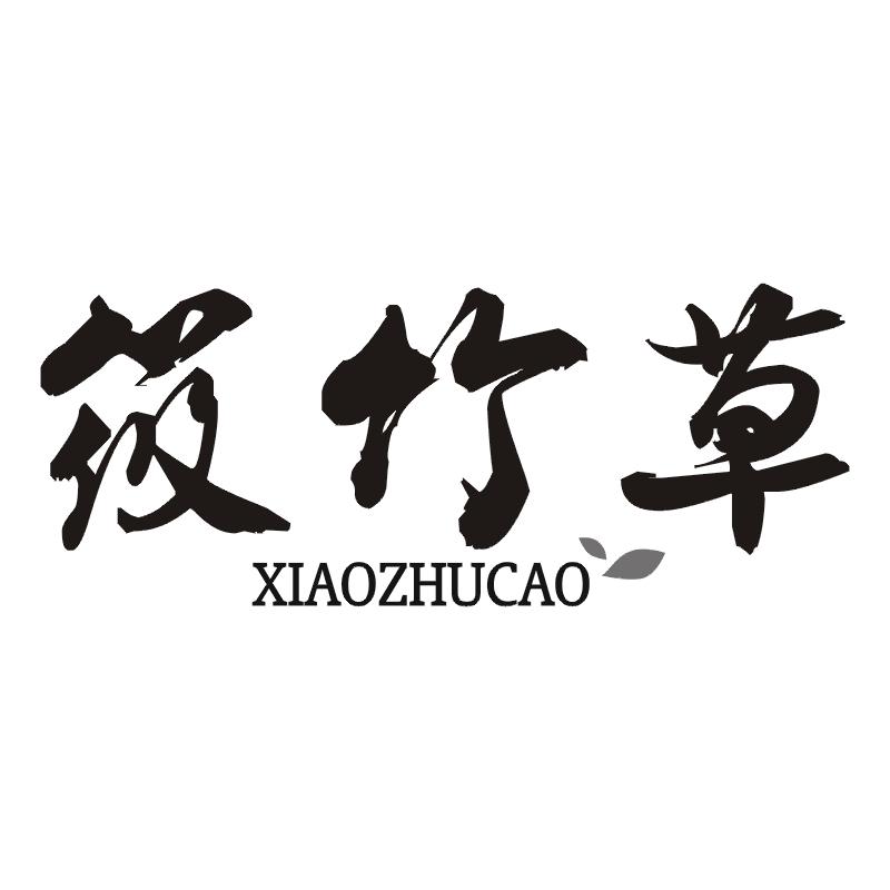 筱竹草