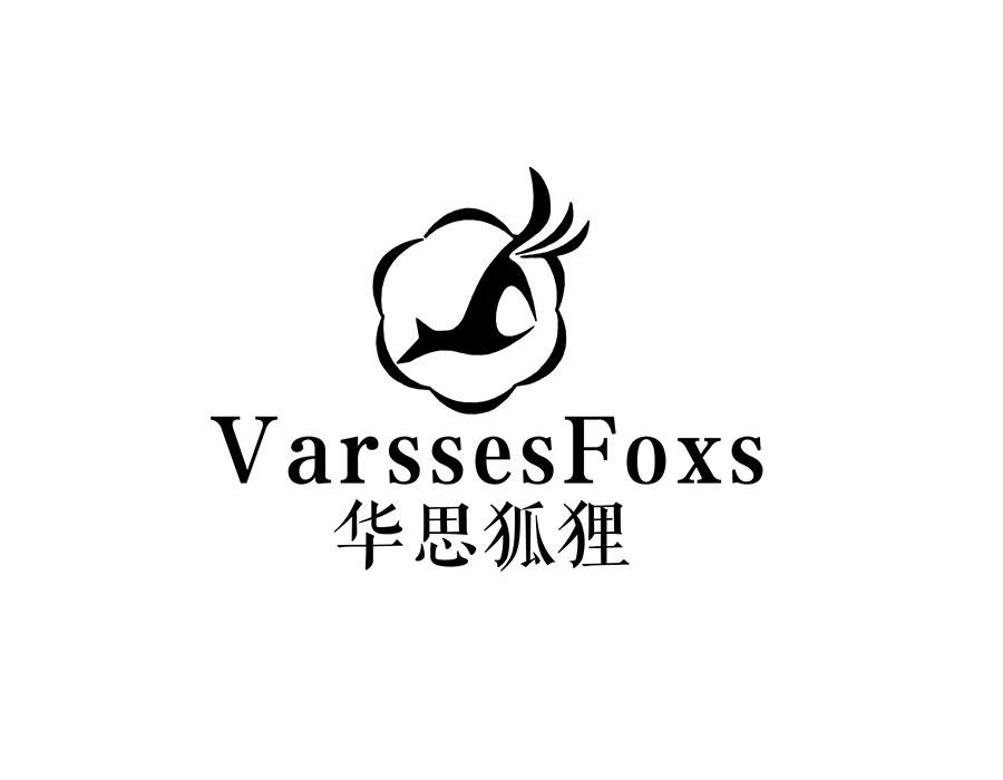 华思狐狸 