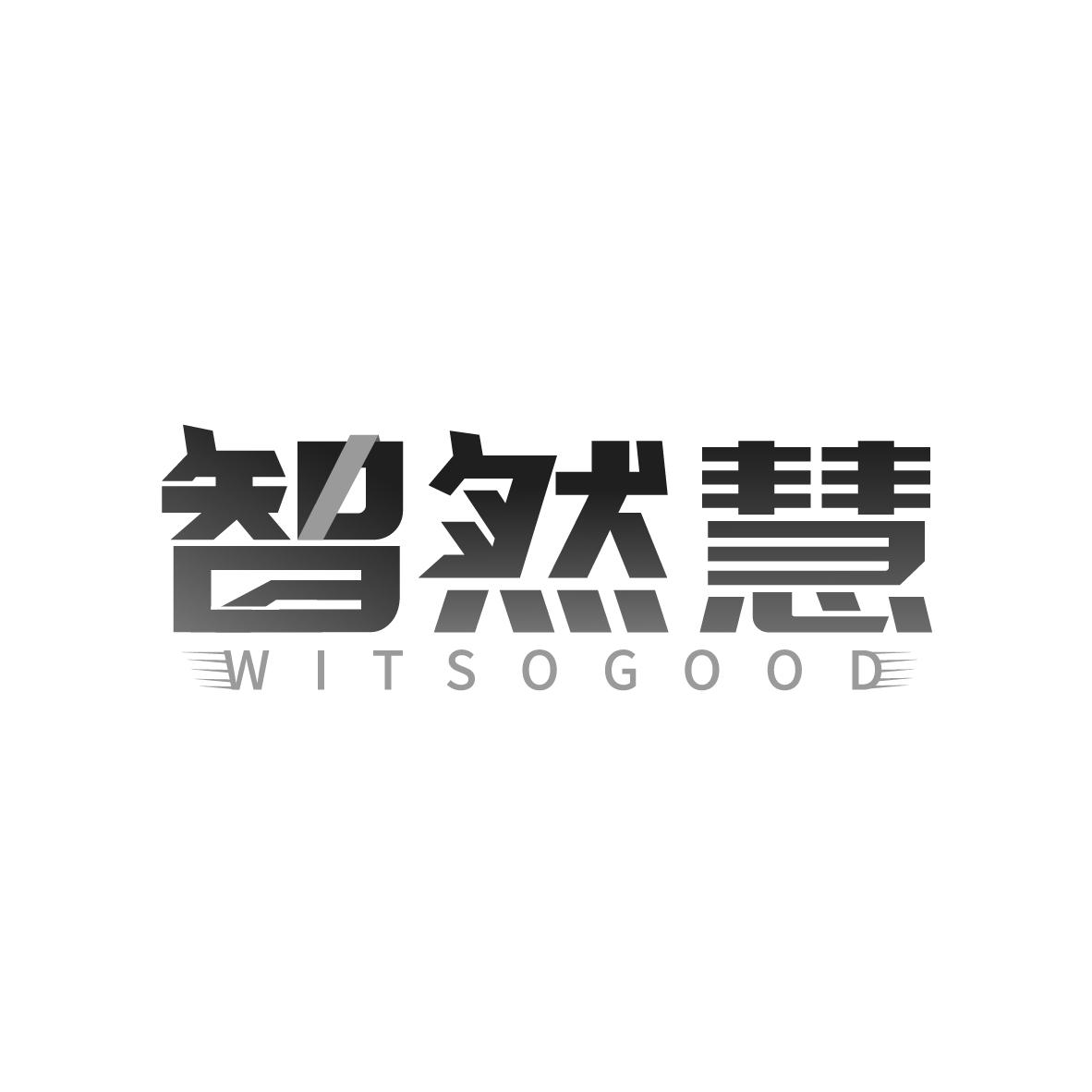 智然慧
WITSOGOOD
