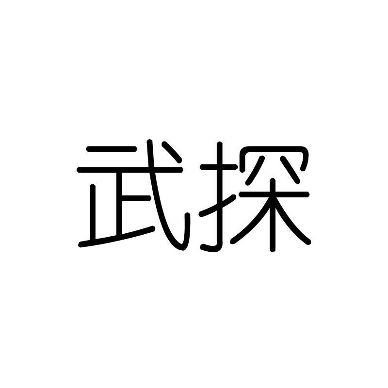 武探