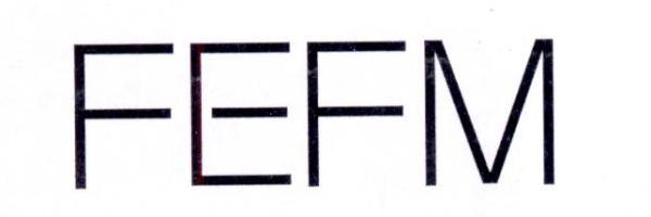 FEFM