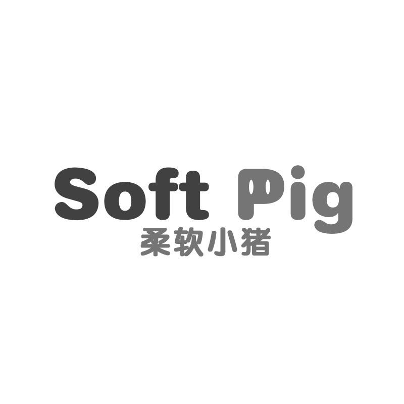 柔软小猪 SOFT PIG