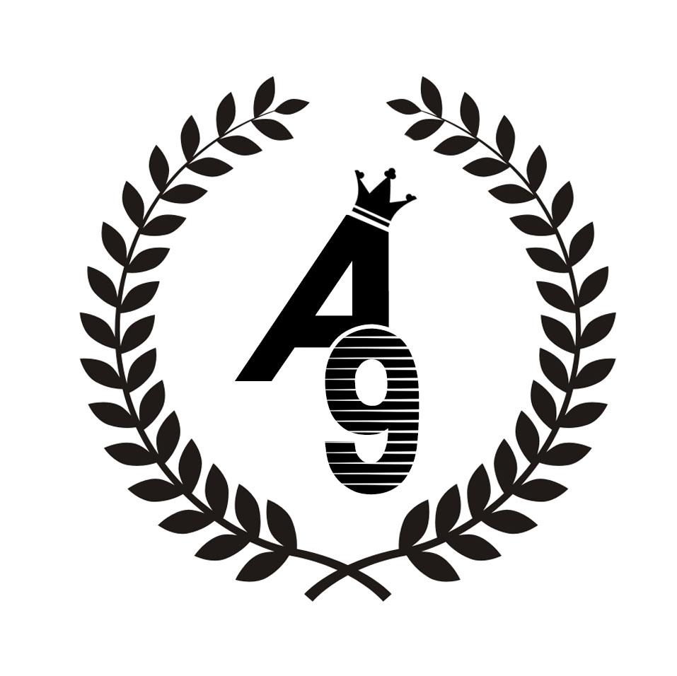 A9图形