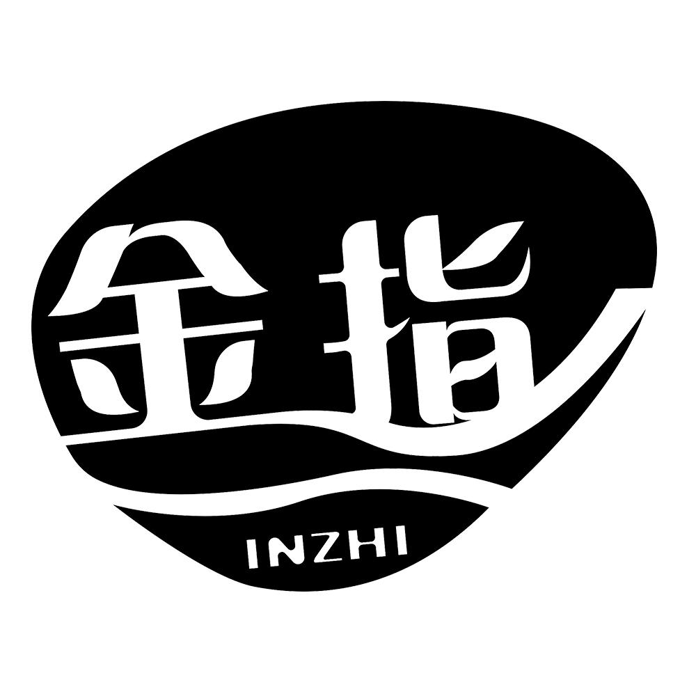 金指  INZHI