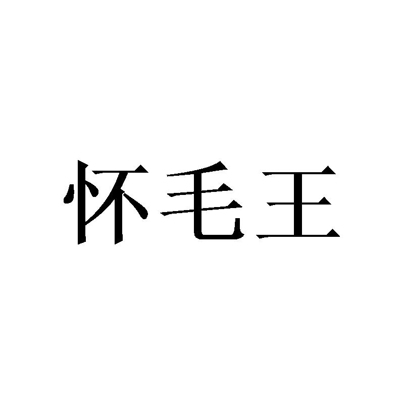 怀毛王
