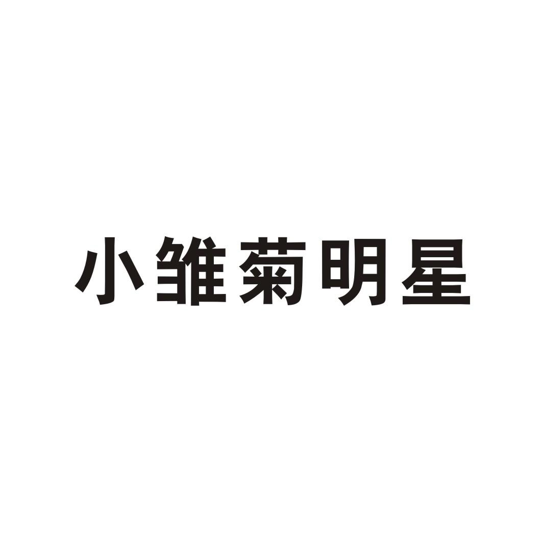 小雏菊明星