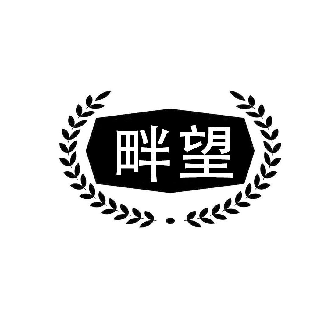 畔望