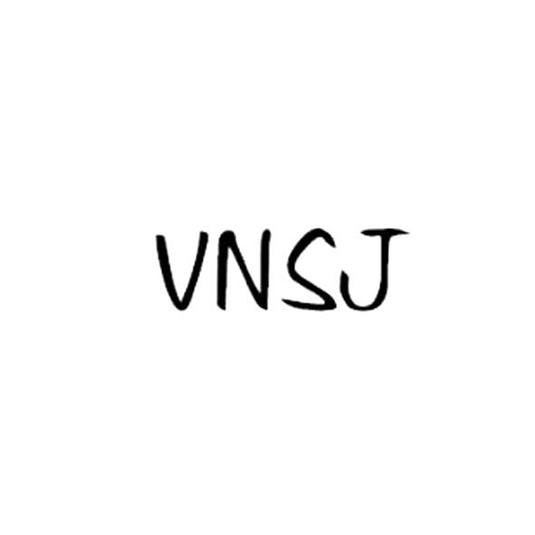 VNSJ