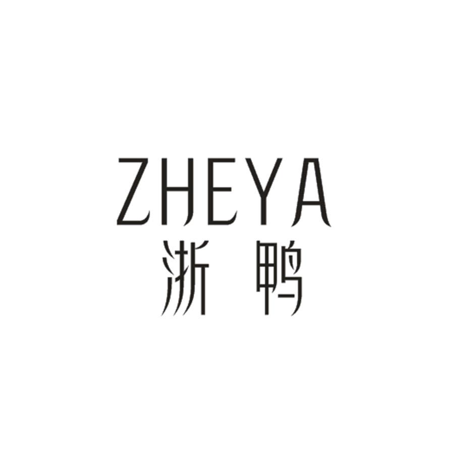 浙鸭