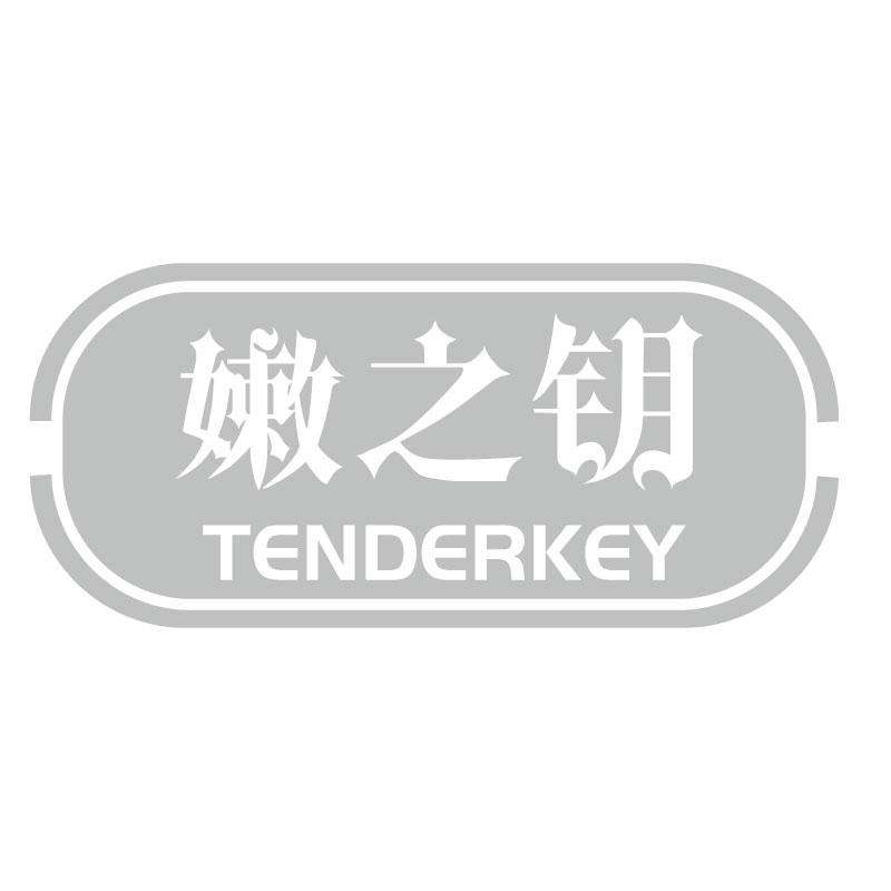 嫩之钥TENDERKEY
