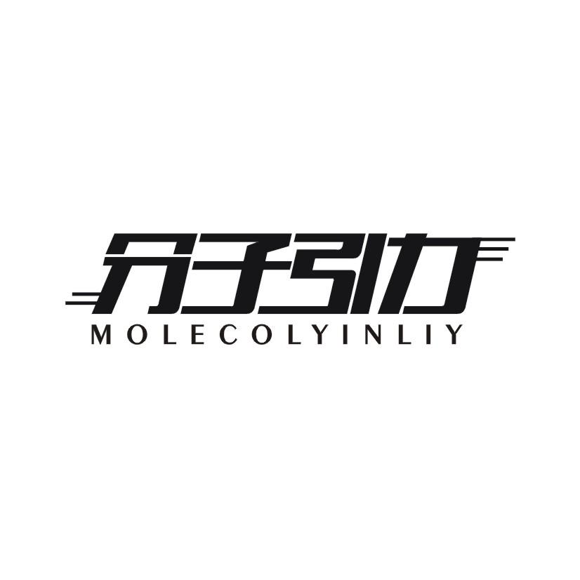 分子引力 MOLECOLYINLIY