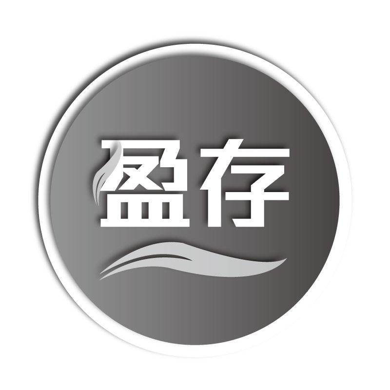 盈存