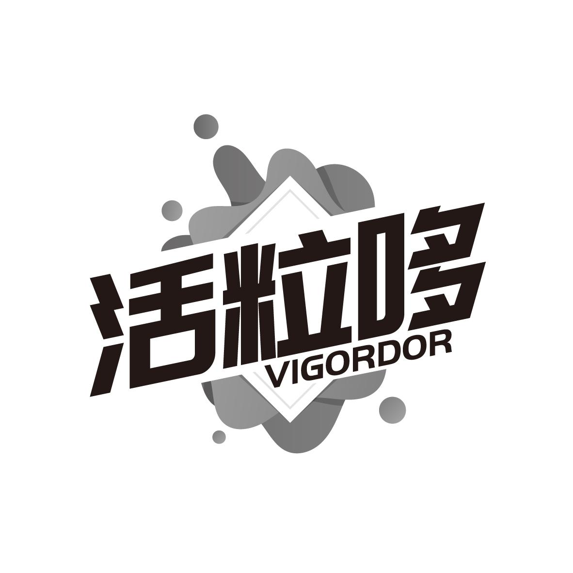 活粒哆 VIGORDOR