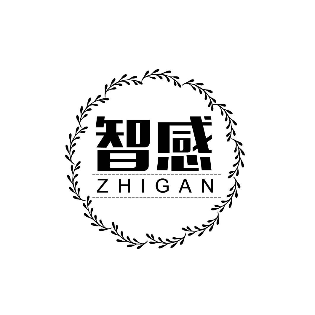 智感 
