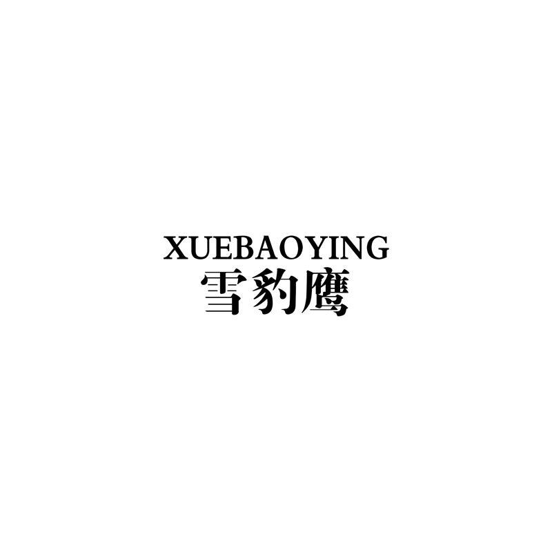 雪豹鹰