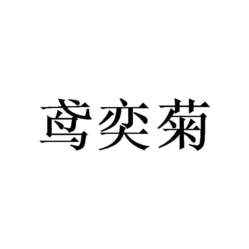 鸢奕菊