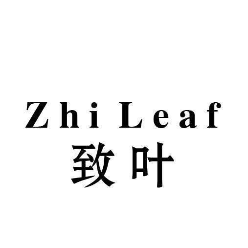 致叶 ZHI LEAF