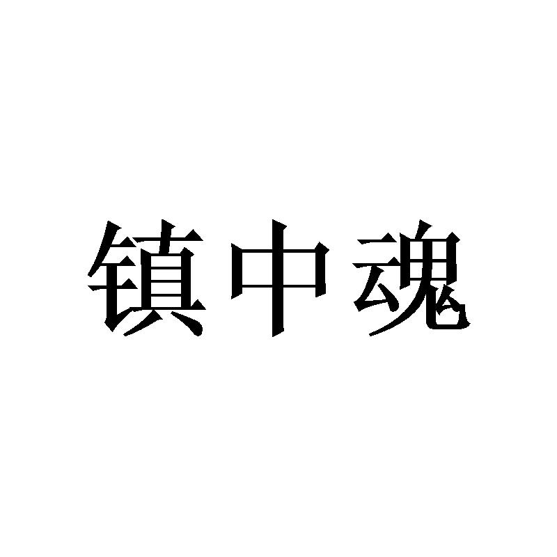 镇中魂