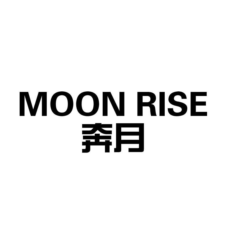 奔月 MOON RISE
