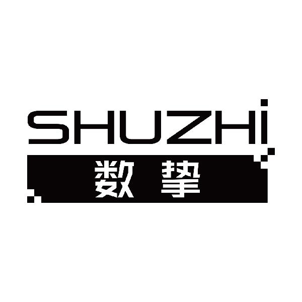 数挚
shuzi