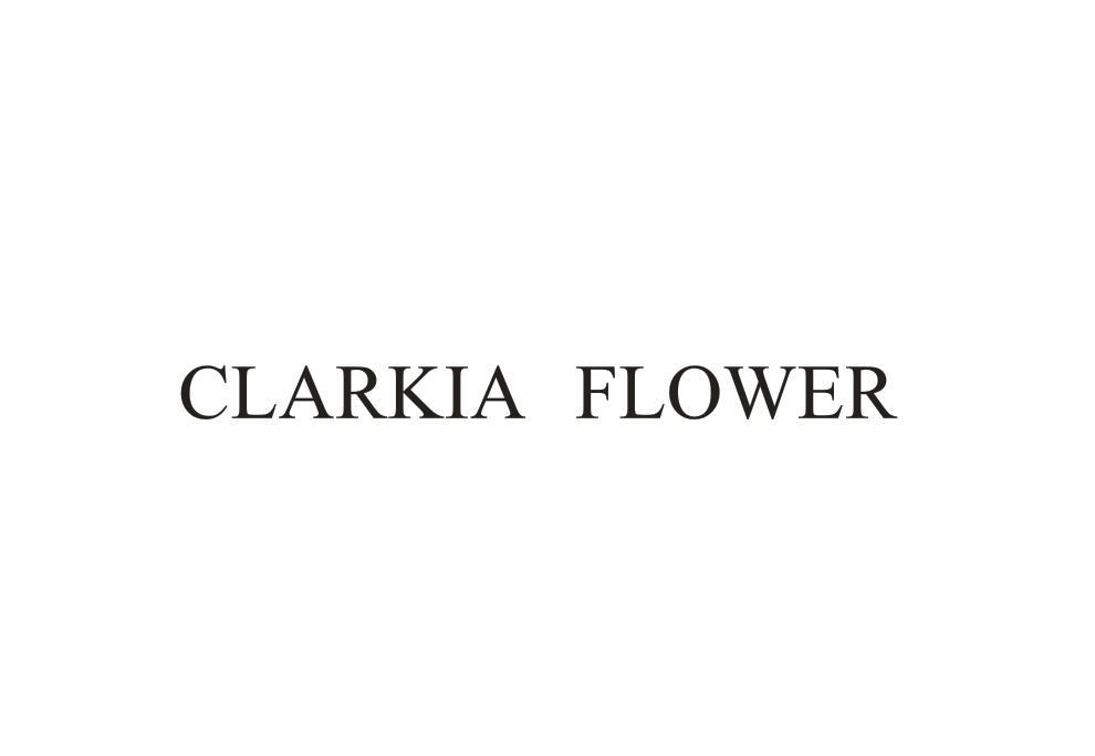 CLARKIAFLOWER