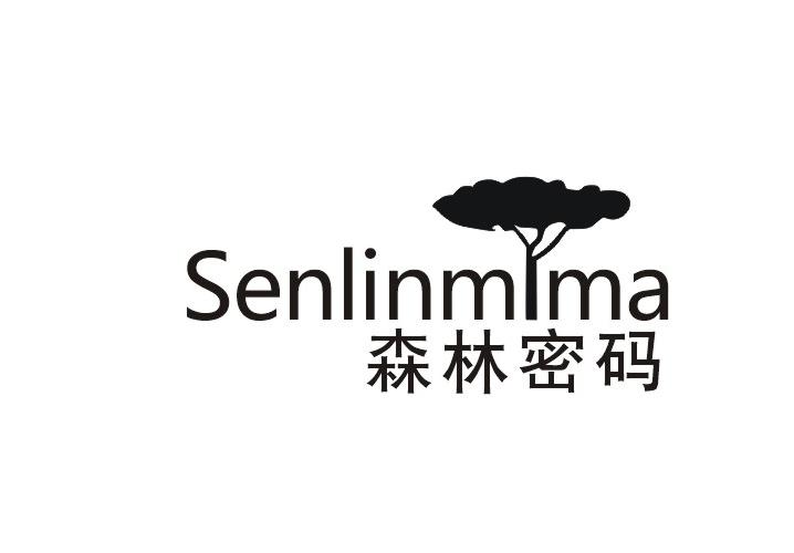 森林密码