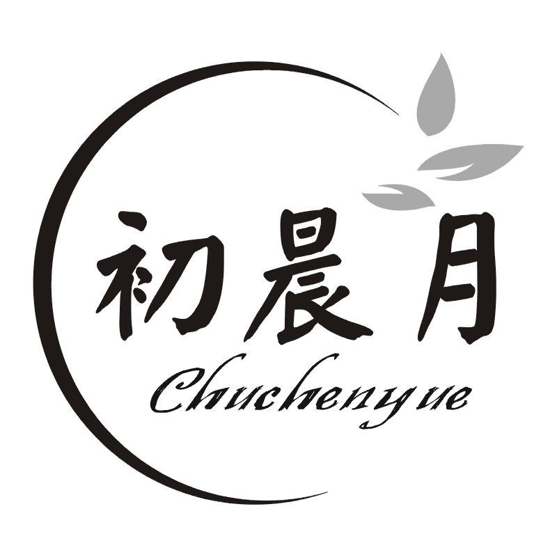 初晨月
