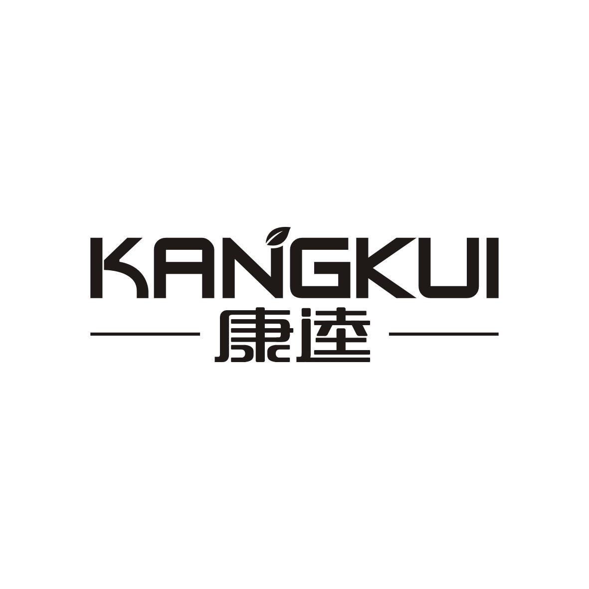 康逵    KANGKUI