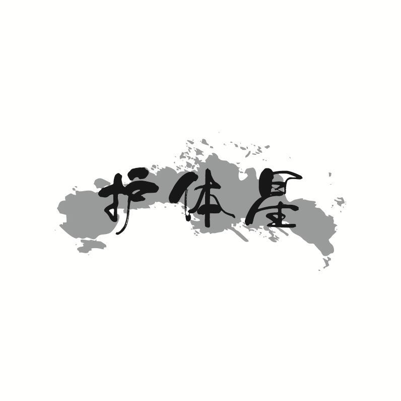 护体星