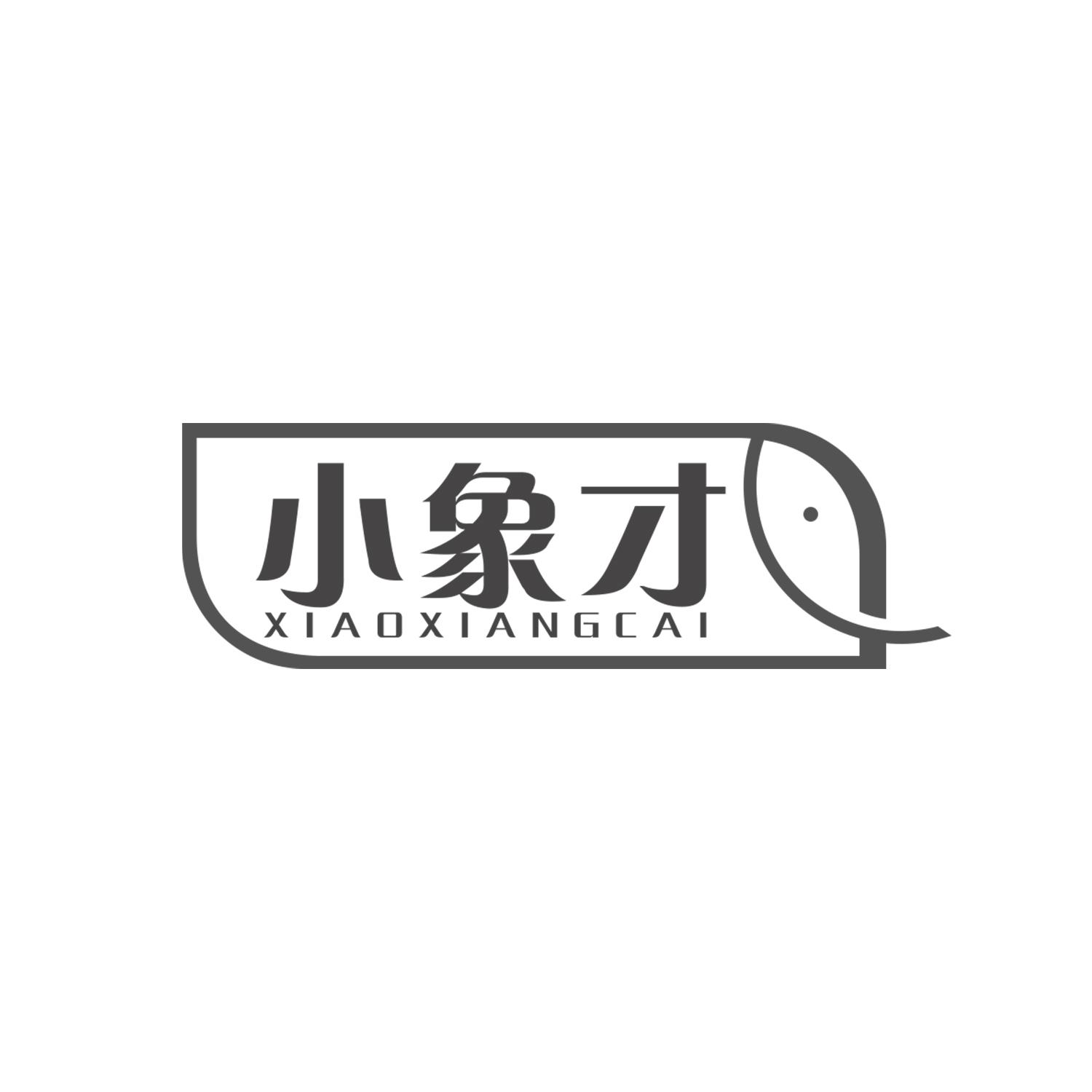 小象才
xiaoxiangcai