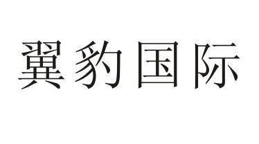 翼豹国际