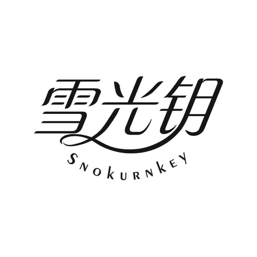 雪光钥 SNOKURNKEY