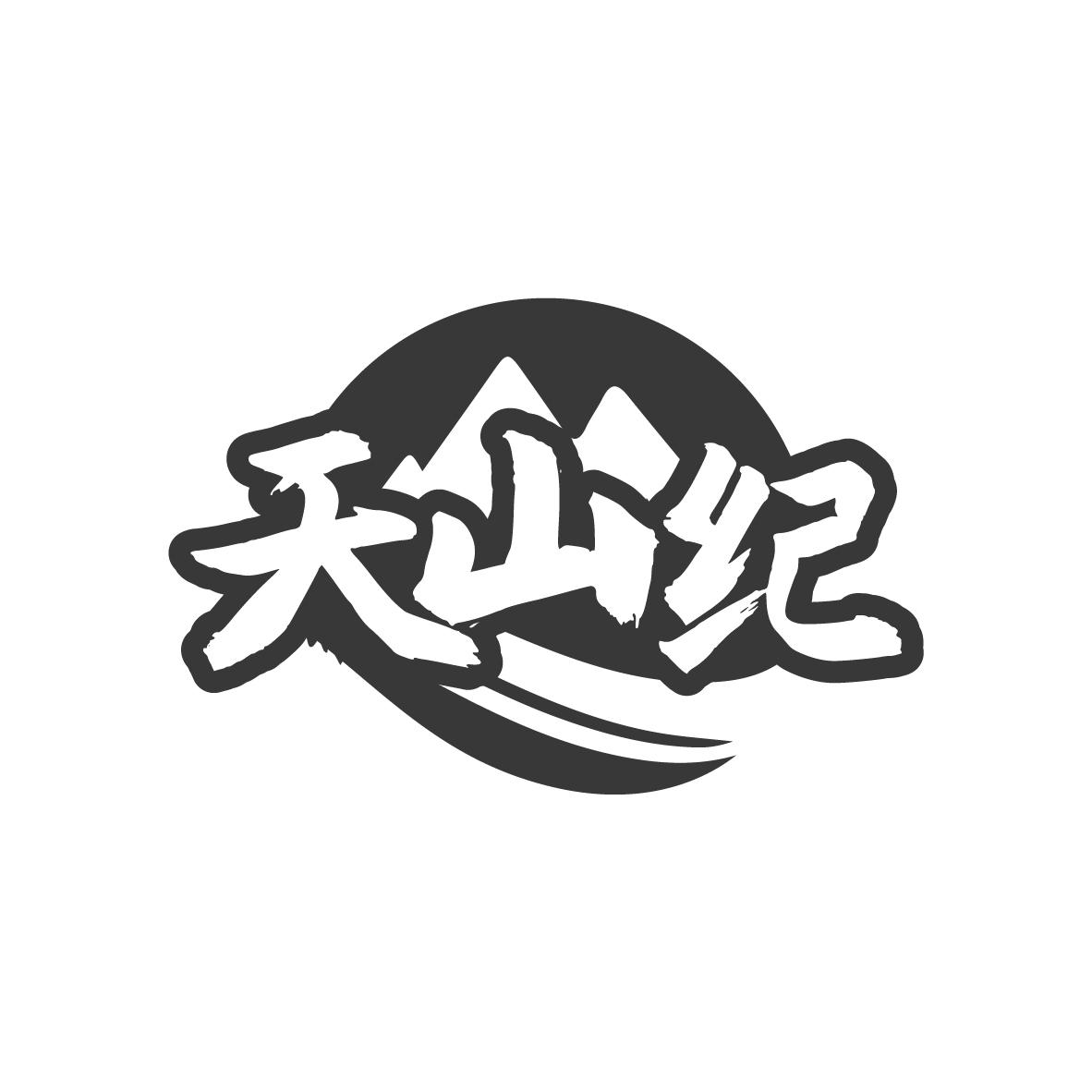 天山纪
