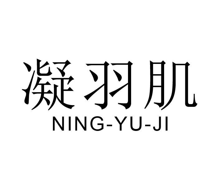 凝羽肌