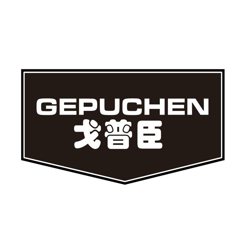 戈普臣