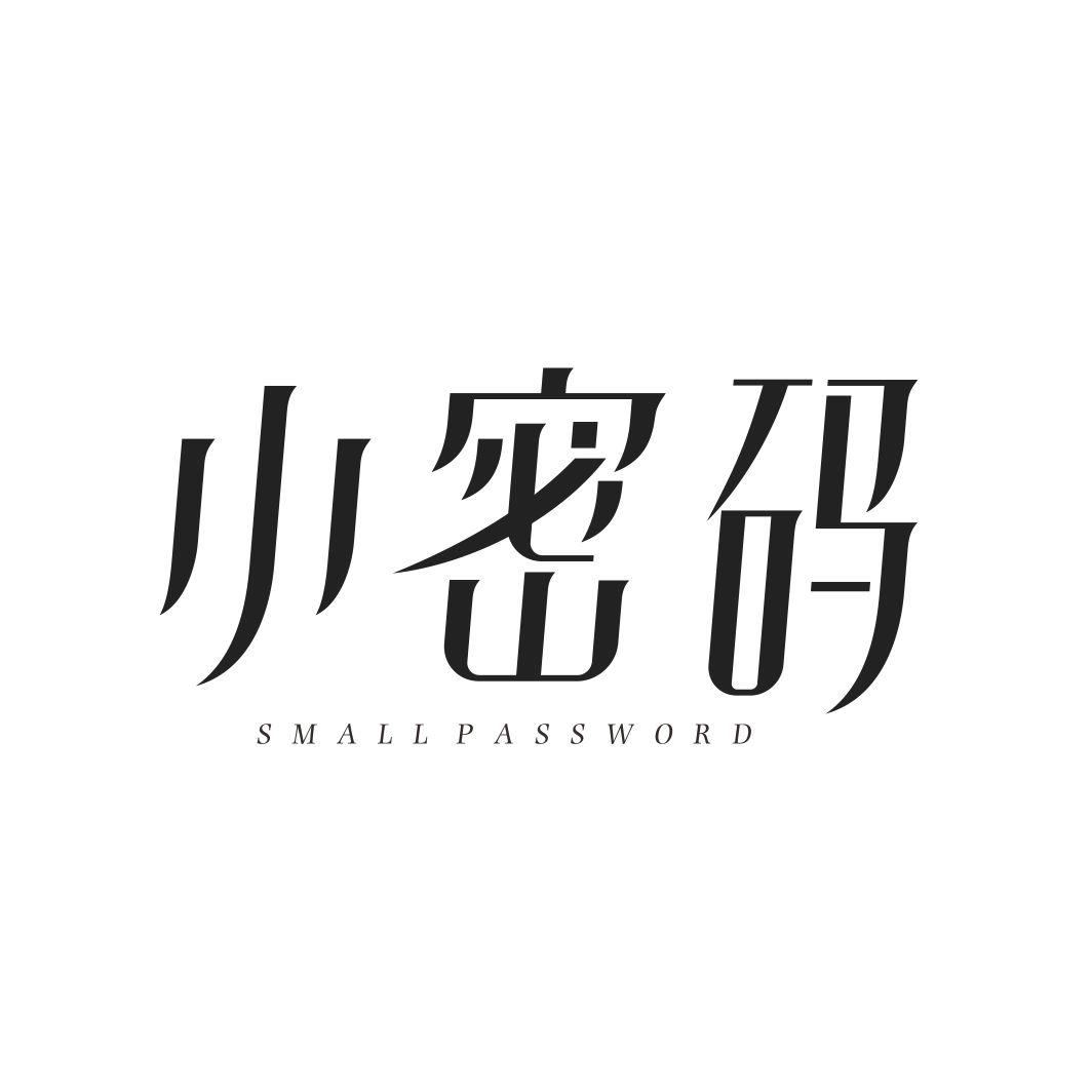小密码 SMALL PASSWORD