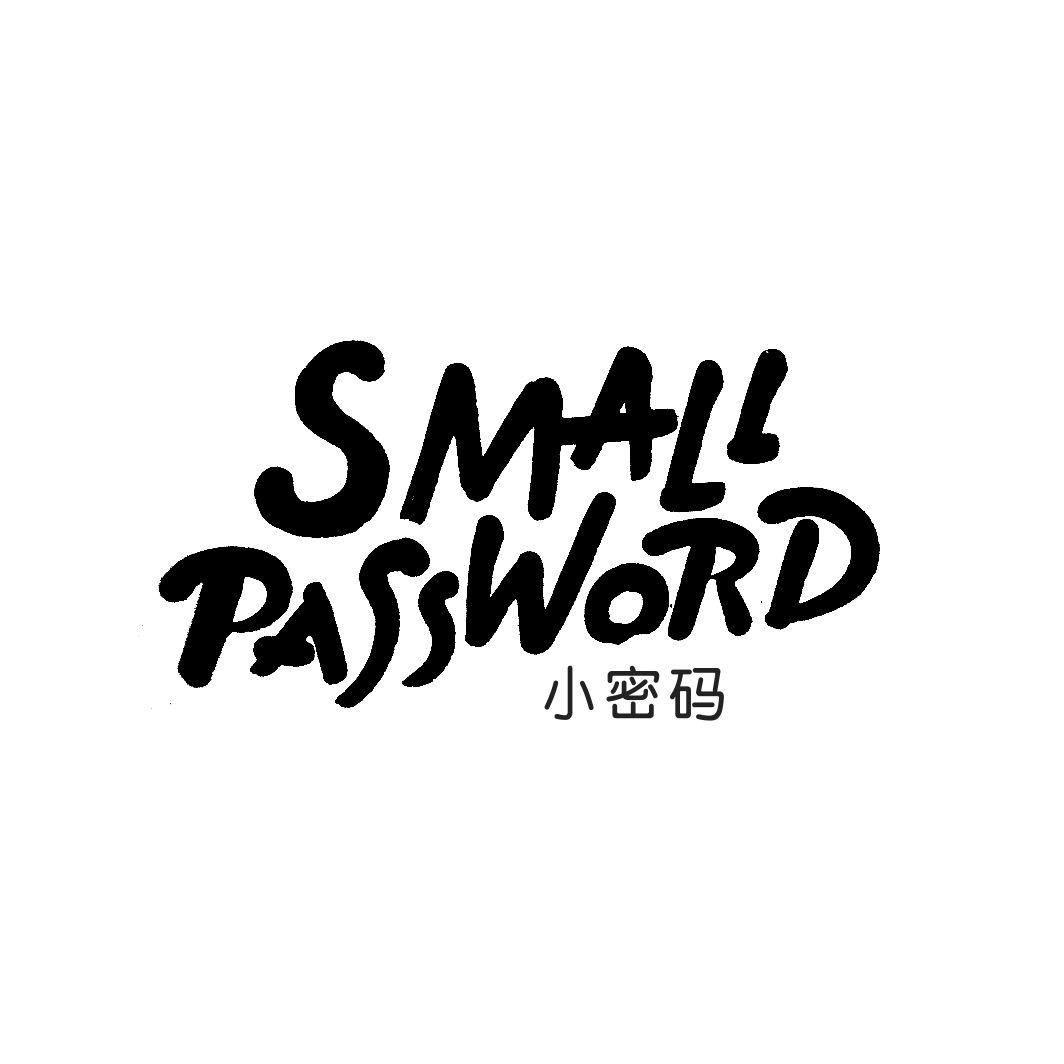 小密码 SMALL PASSWORD
