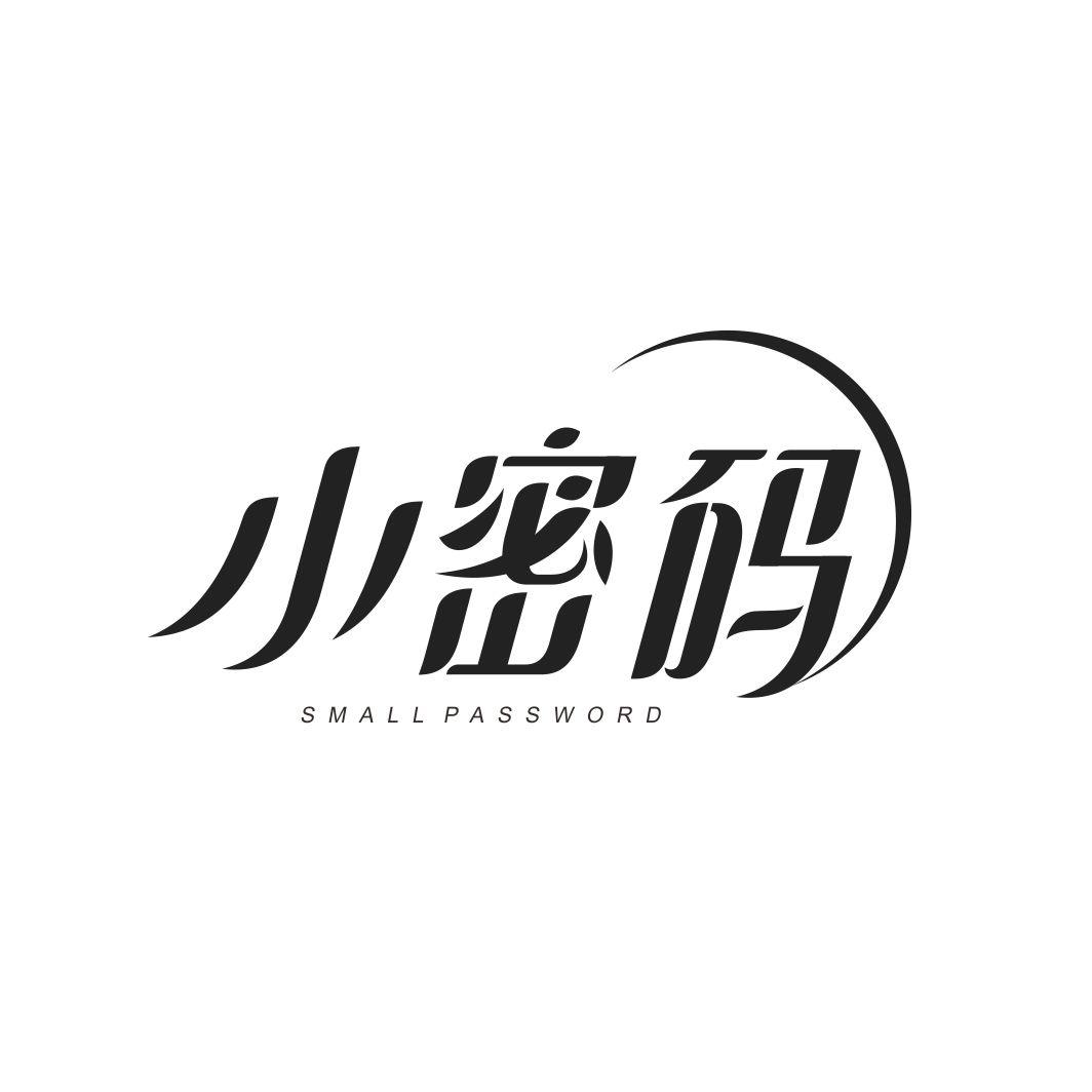 小密码SMALL PASSWORD