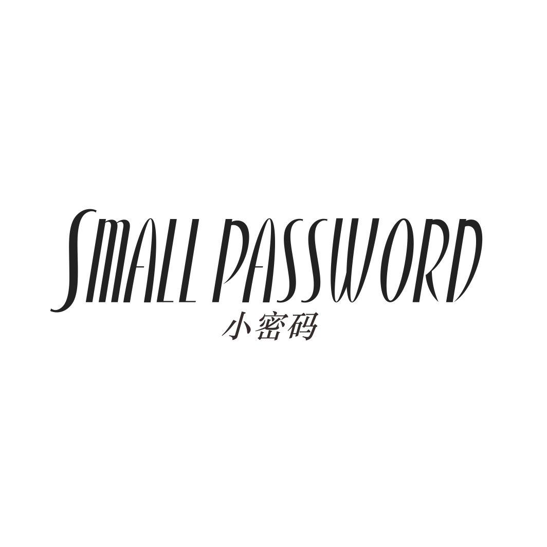 小密码 SMALL PASSWORD