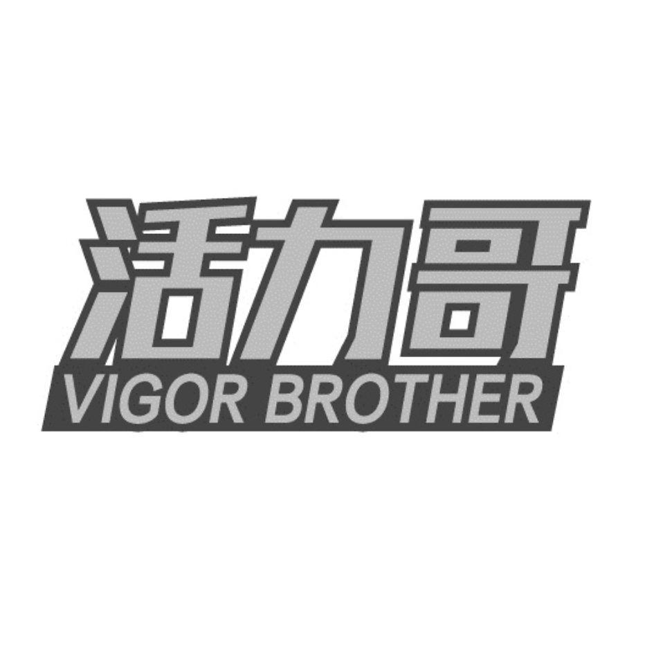 活力哥
VIGORBROTHER
