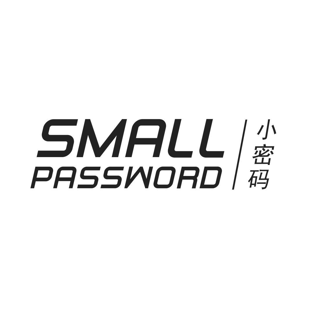小密码SMALL PASSWORD