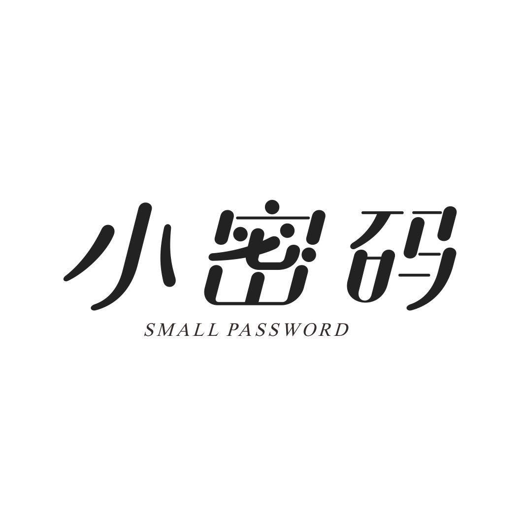 小密码SMALL PASSWORD