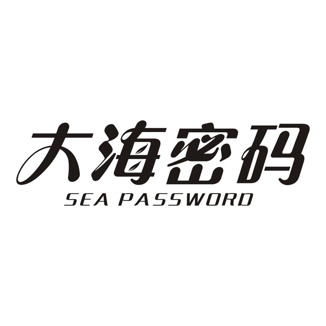 大海密码SEA PASSWORD