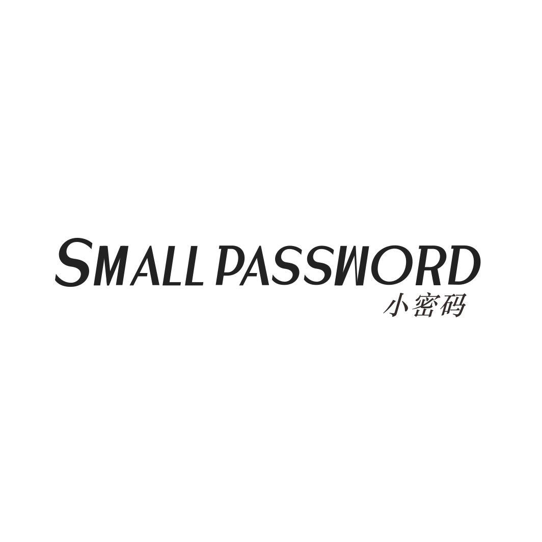 小密码SMALL PASSWORD