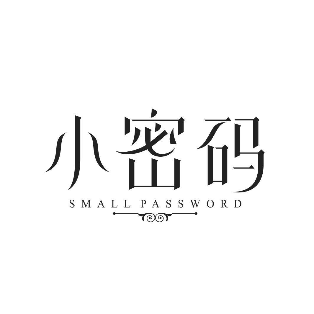 小密码 SMALL PASSWORD